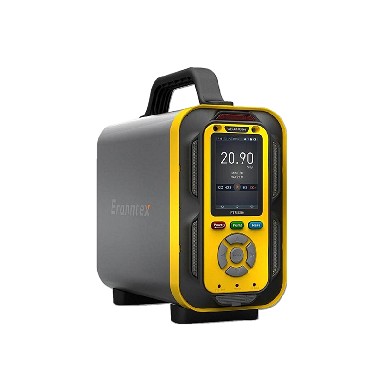 PTM600手提式有毒有害气体检测仪 （内置泵吸式）